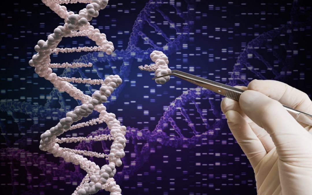 La génétique, une nouvelle arme dans le diagnostic des cancers du rein
