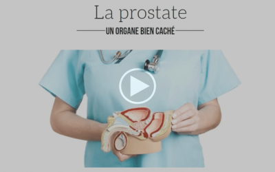 La prostate, mais qu&rsquo;est-ce que c&rsquo;est ?