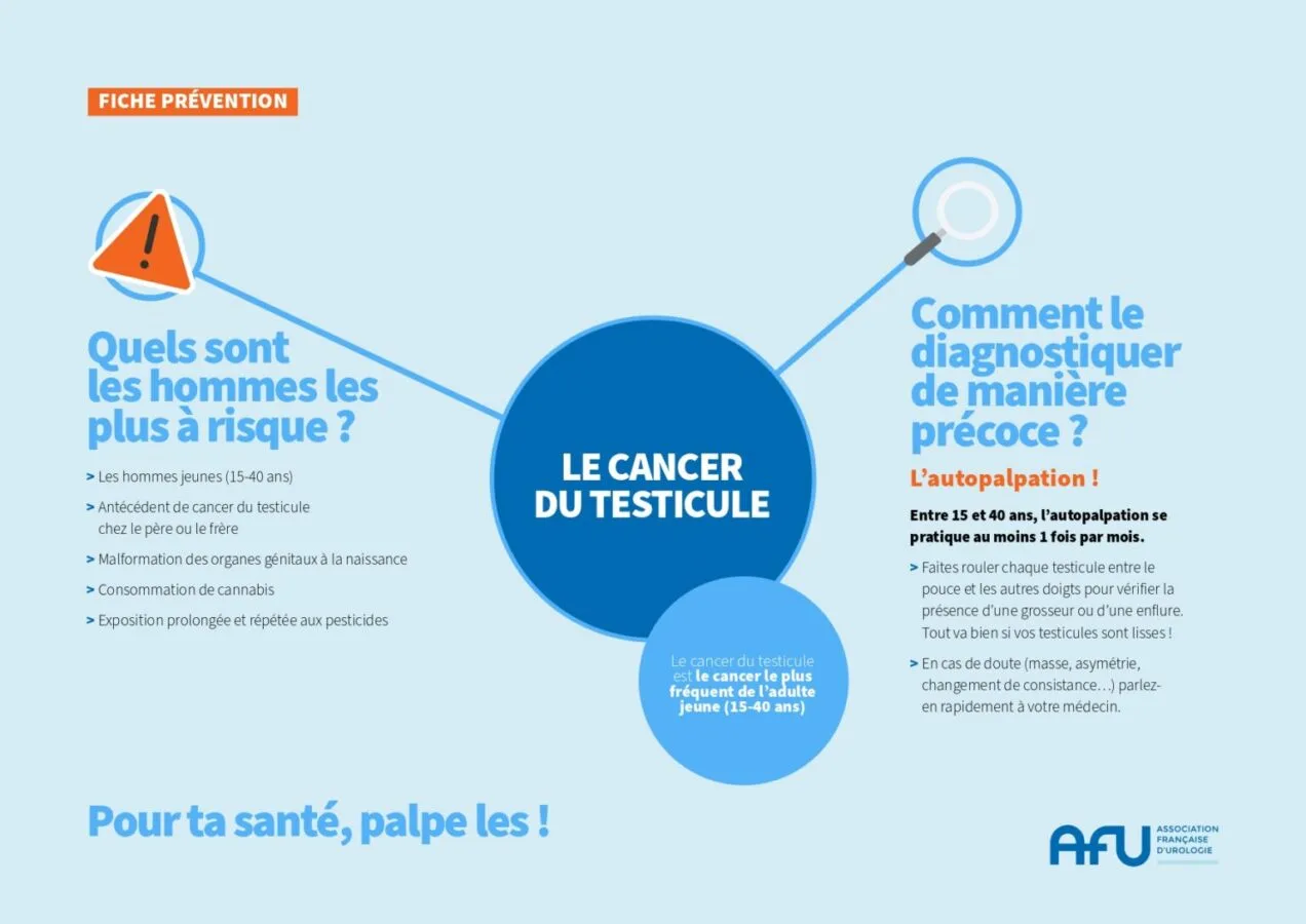 Fiche Prevention Cancer Testicule V2 141025 Page 0001 1536x1087