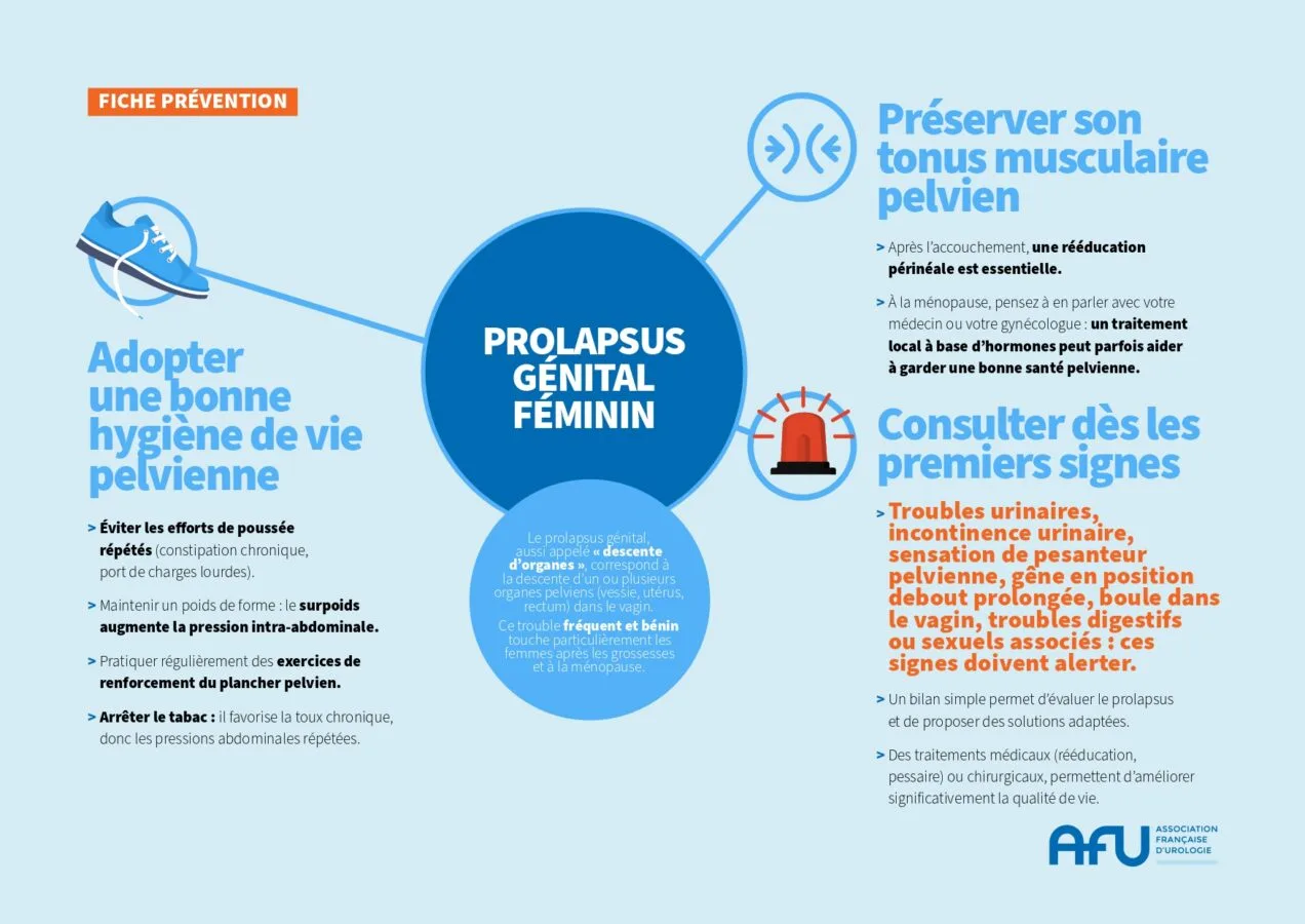 Fiche Prevention Prolapsus Genital V3 141025 Page 0001